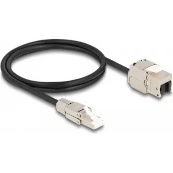 DeLOCK kabelis RJ45 lauka montāžas spraudnis uz Keystone moduli RJ45 ligzda Cat.6A 1 m