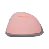 Pele Baracuda BGM-084 Lobster Pink USB