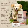 Sausā suņu barība VETEXPERT Raw Paleo Healthy Grain Puppy laša un miežu 10 kg, proteīns 29% tauki 17% mitrums 9%