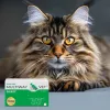 Mīkstās gēla noskrūvējamās kapsulas JM Sante Multiway Vet ādai un apmatojumam suņiem un kaķiem 60 gab., 150 g