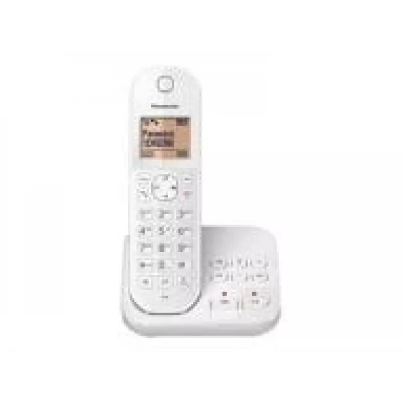 DECT telefons Panasonic KX-TGC420