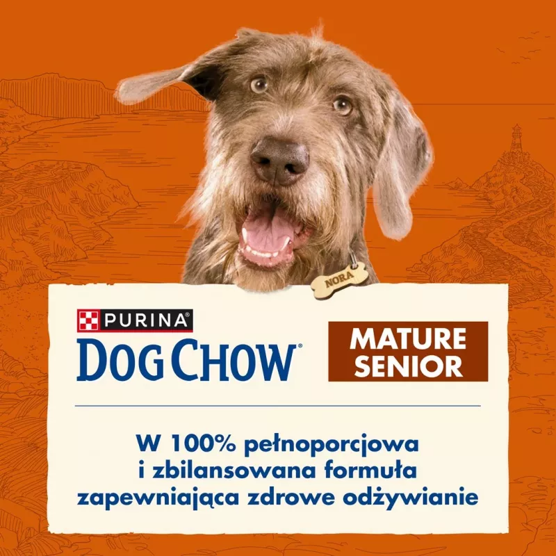 Sausā suņu barība Purina Nestlé Dog Chow Mature Senior ar jēru 14 kg, 24% olbaltumvielu, 10% tauku