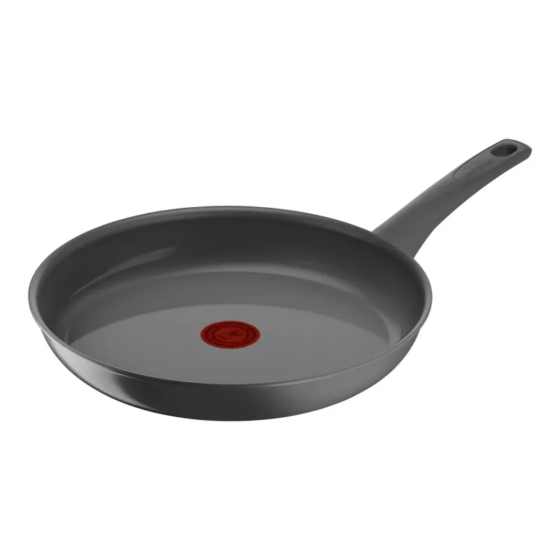 Panna Tefal C4260643, 28 cm diametrs, piemērota indukcijai, fiksēts rokturis, pelēka