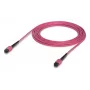 Optiskās šķiedras kabelis MPO Ubiquiti UACC-OFC-MA-MPMP-5M 5m OM4