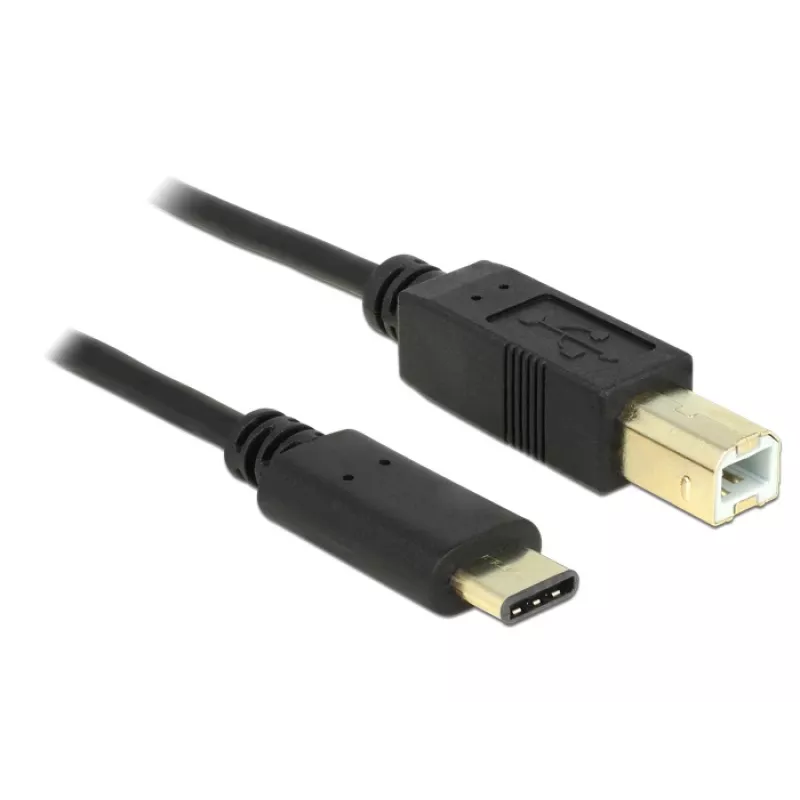USB kabelis DeLOCK 2m USB2.0-C/USB2.0-B
