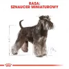 Sausā suņu barība Royal Canin Miniature Schnauzer Adult, mājputnu gaļa, 3 kg, mazām šķirnēm