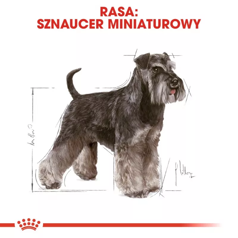 Sausā suņu barība Royal Canin Miniature Schnauzer Adult, mājputnu gaļa, 3 kg, mazām šķirnēm