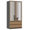 Topeshop SZAFA MALWA AN/AR L bedroom wardrobe/closet 5 shelves 2 durvis(s)