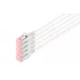 Tīkla kabelis Digitus CAT 6 U/FTP plāns plāksteru vads RJ-45 Cat6 10m pelēks