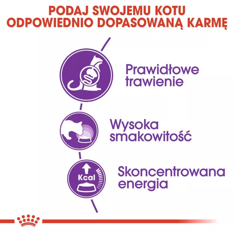 Sausā kaķu barība Royal Canin Sensible 33 4 kg — pieaugušiem kaķiem, mājputnu gaļa un rīsi, olbaltumvielas 33%, tauki 22%
