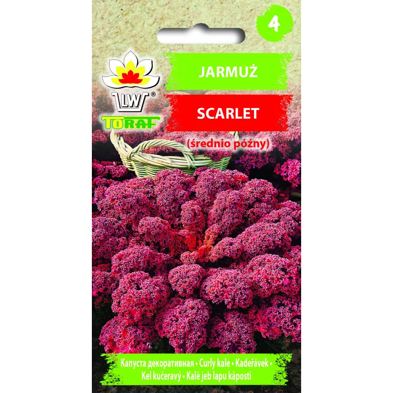 Scarlet Toraf kāpostu sēklas, 1g iepakojums