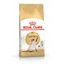 Sausā kaķu barība Royal Canin Siamese 2 kg — Pieaugušiem, Putnu gaļa, Olbaltumvielas 38%, Tauki 16%