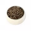 PUPIL Premium Insects - sauss suņu barība - 12kg