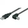 Wentronic Goobay USB 2.0 Hi-Speed kabelis, melns, 5 m - USB 2.0 spraudnis (A tips) > USB 2.0 spraudnis (B tips) (95118)
