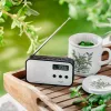Pārnēsājamais ciparu radio Adler AD 1907 — AM/FM, ciparu uztvērējs, modinātājs, USB-C, 600 mAh baterija, LCD, 20 atmiņas vietas, teleskopiskā antena