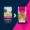 Sausā suņu barība EUKANUBA Senior Large Lamb and Rice 12 kg — lieliem senioru suņiem, 24% olbaltumvielu, 12% tauku