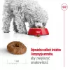 ROYAL CANIN Mini Ageing Adult +12 - sausā suņu barība - 3,5 kg
