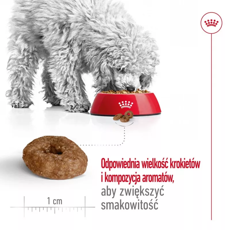ROYAL CANIN Mini Ageing Adult +12 - sausā suņu barība - 3,5 kg
