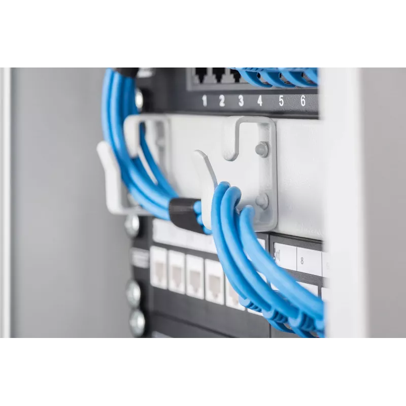Kabeļu pārvaldības panelis Digitus DN-10 ORG-1U