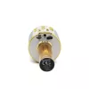 Mikrofons MANTA MIC10-G Gold kardioīds pārnēsājams — kardioīds kondensatora tipa, rokas dizains