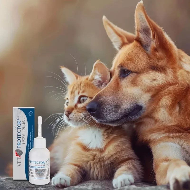 Ausu šķīdums JM Sante Vet Protector Uszy Plus 50 ml — ausu kopšana pieaugušiem suņiem un kaķiem, plastmasas pudele