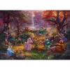 Thomas Kinkade Studios: Disney - Robin Hood, Puzzle 1000 gab.
