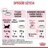 Sausā kaķu barība Royal Canin Kitten 10 kg — vista, 36% olbaltumvielu, 18% tauku, kaķēniem un grūsnām/laktējošām kaķenēm