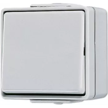 JUNG 607 W - Spiedpogas slēdzis - Vadu - Pelēks - termoreaktīva plastmasa - 250 V - 10 A