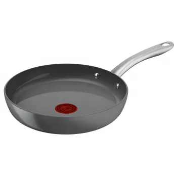 Tefal Renewal C4260443 panna, 24 cm, pelēka, piemērota indukcijas plītīm