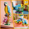 LEGO komplekts Exotic Parrot 31136 — Creator vitrīnas modelis, 253 detaļas, 220×120×110 mm