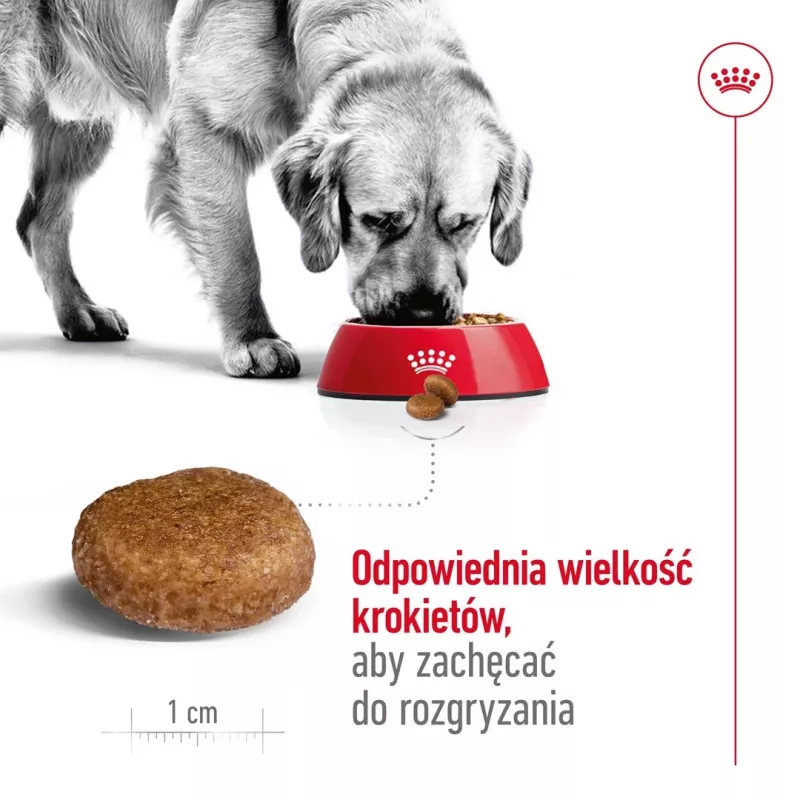 Sausā suņu barība Royal Canin Maxi Adult 5+ 15 kg — vista, Olbaltumvielas 26%, Tauki 17%