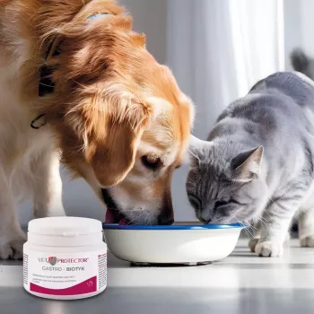 Uztura bagātinātājs JM Sante Multibiotic Vet Protector Gastro suņiem un kaķiem, 60 g — probiotisks atbalsts pieaugušiem mājdzīvniekiem