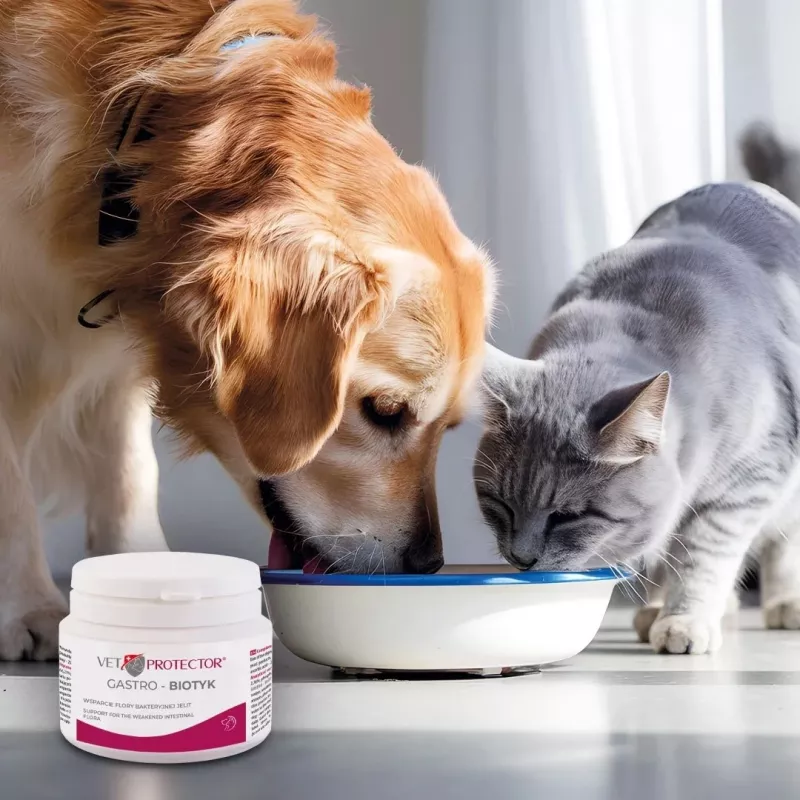 Uztura bagātinātājs JM Sante Multibiotic Vet Protector Gastro suņiem un kaķiem, 60 g — probiotisks atbalsts pieaugušiem mājdzīvniekiem