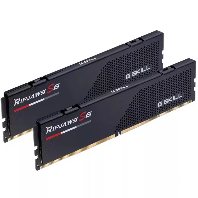 G.skill F5-6400J3239F24GX2-RS5K atmiņas modulis