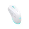 Baracuda BGM-122 Turtle balta TURTLE-W pele