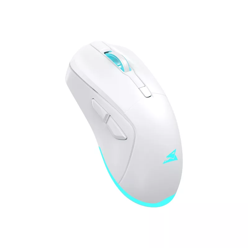 Baracuda BGM-122 Turtle balta TURTLE-W pele
