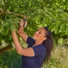 Atzarošanas šķēres GARDENA PremiumCut 12241-20 apvedveida, pelēkas/tirkīza