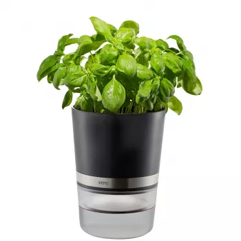 GEFU BOTANICO garšaugu pods, brīvi stāvošs, plastmasa, nerūsējošais tērauds, melns