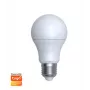 Viedā spuldze Denver SHL-340