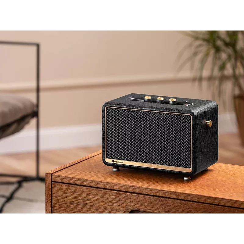 Stereo Portable Speaker Tracer M30 TWS BT Melns, Gold