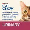 Purina Cat Chow Special Care Urinary Tract Health - kaķu sausā barība 15 kg pieaugušiem kaķiem ar vistu
