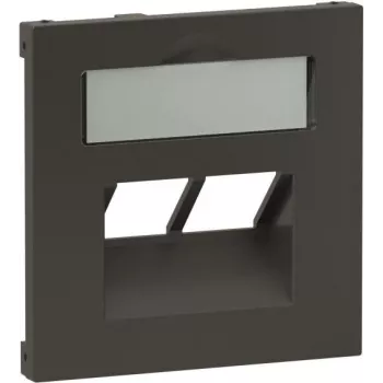 Vāciņa plāksne Legrand SEANO 2x RJ45 datu ligzdām, antracīta (765459)