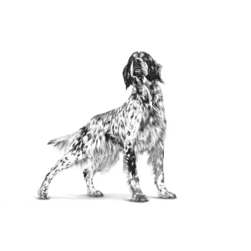 Sausā suņu barība Royal Canin Hepatic VHN 7 kg — veterinārā diēta aknu atbalstam, 16% olbaltumvielu, 16% tauku