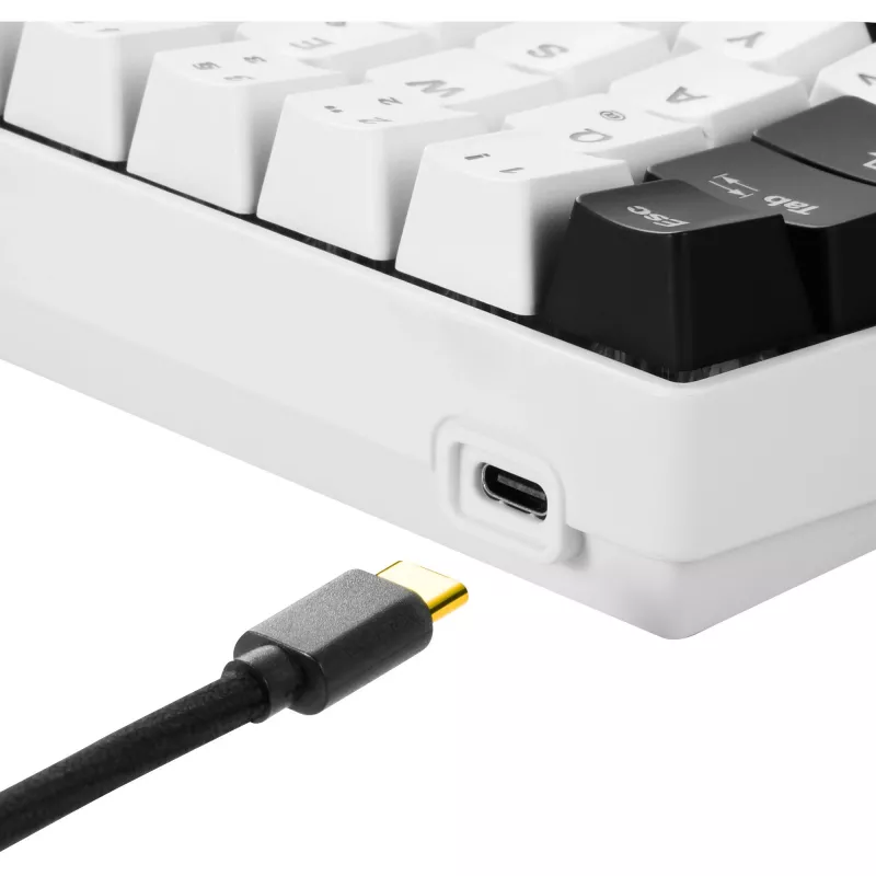 Sharkoon SKILLER SGK50 S4 - Tastatūra - Fona apgaismojums