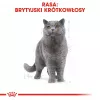 Royal Canin British Shorthair Adult kaķu sausā barība 4 kg