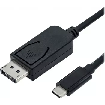 ROLINE - Adaptera kabelis - 24 kontaktu USB-C (vīr.) uz DisplayPort (vīr.) - USB 3.1 / DisplayPort 1.2 - 2 m - divvirzienu, atbalsta 4K 60 Hz (3840 x 2160) - melns (11.04.5958)