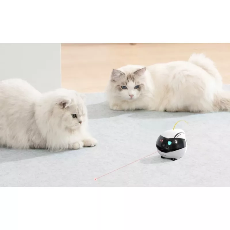 ENABOT Ebo Air AI Robots Balts un Melns