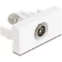 Kontaktligzda IEC / F DeLOCK 90828 Balta 75 Ω Taisna