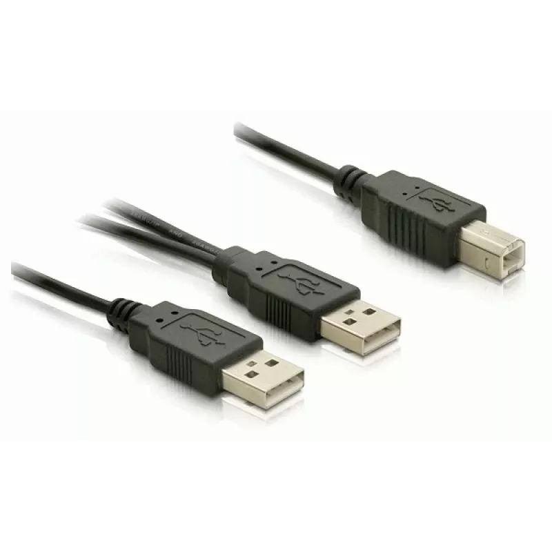 USB kabelis DeLOCK USB-B/USB-A kabelis 1 m melns