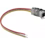 LED lentes barošanas savienotājs EUROLITE 50530066, 3 kontaktu, 10 mm LED lentēm